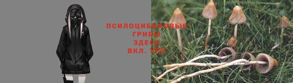 2c-b Снежинск