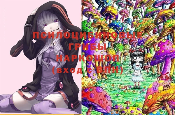МДПВ Арсеньев