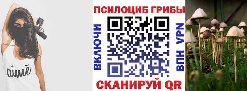Галлюциногенные грибы Cubensis  Строитель 