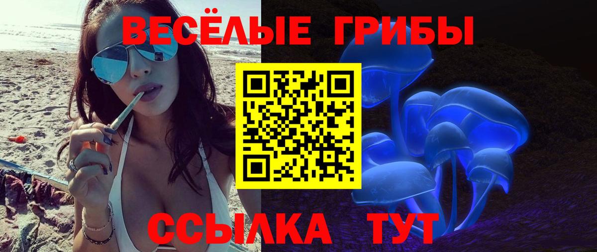 Галлюциногенные грибы Magic Shrooms  Вход с VPN  Строитель 